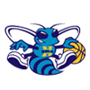 Charlotte Hornets Logo